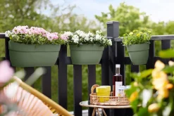 Hot Elho Balkonkasten Vibia Easyhanger grün 46 x 24,1 x 26,5 cm Balkonkästen|Blumentöpfe & Pflanzgefäße