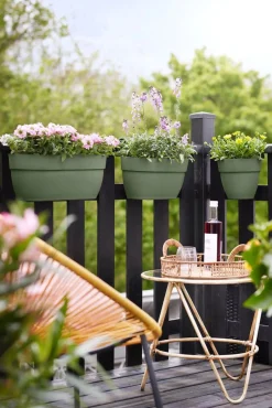 Hot Elho Balkonkasten Vibia Easyhanger grün 46 x 24,1 x 26,5 cm Balkonkästen|Blumentöpfe & Pflanzgefäße