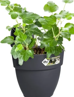 Online Elho Balkonkasten Vibia Easyhanger anthrazit 20,5 x 24,1 x 26,5 cm Blumenampeln & Hängetöpfe|Blumentöpfe & Pflanzgefäße