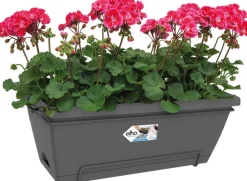 Elho Barcelona Balkonkasten XL all-in-1 55 x 32,2 x 22,7 cm anthrazit Balkonkästen|Blumentöpfe & Pflanzgefäße