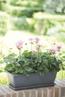 New Elho Barcelona Balkonkasten Untersetzer 90 cm anthrazit Untersetzer