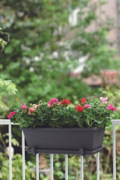 Clearance Elho Barcelona Balkonkasten Untersetzer 50 cm anthrazit Untersetzer