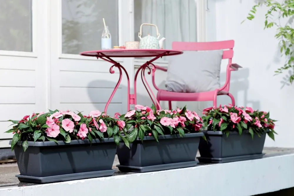 Hot Elho Barcelona XL Blumenkasten Untersetzer 54 cm anthrazit Untersetzer