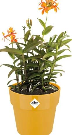 Elho Blumentopf B. for original D 22 cm H 20,3 cm ocker Blumentöpfe & Pflanzgefäße|Blumentöpfe