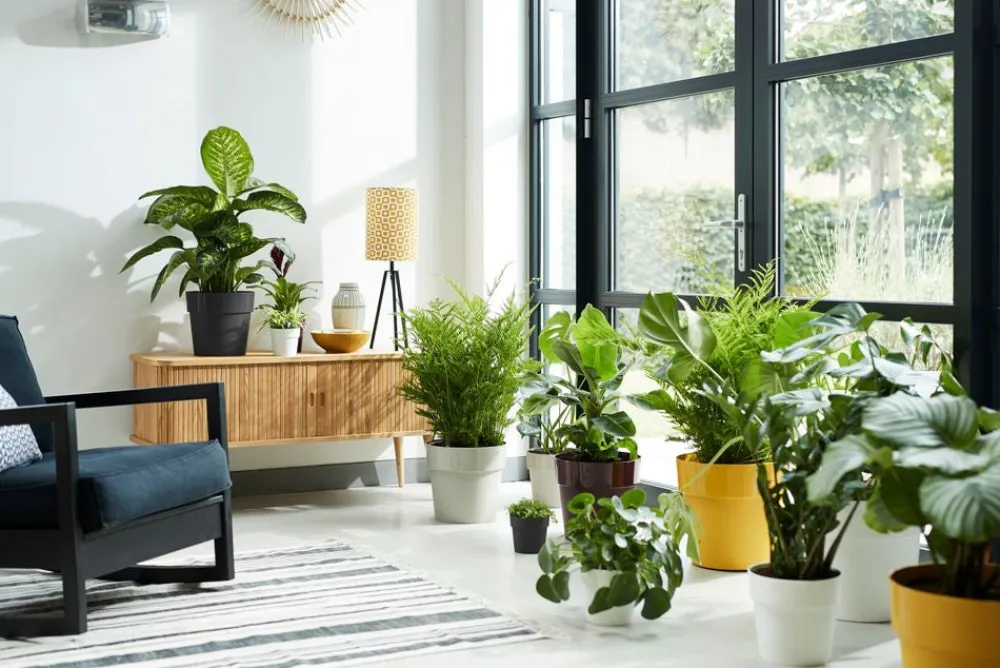 Discount Elho Blumentopf B. for original Liv D 22 cm H 20,3 cm schwarz Blumentöpfe & Pflanzgefäße|Blumentöpfe