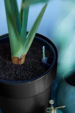 Discount Elho Blumentopf B. for original Liv D 22 cm H 20,3 cm schwarz Blumentöpfe & Pflanzgefäße|Blumentöpfe