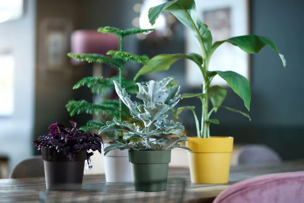 Discount Elho Blumentopf B. for original Liv D 14 cm H 12,8 cm schwarz Blumentöpfe & Pflanzgefäße|Blumentöpfe