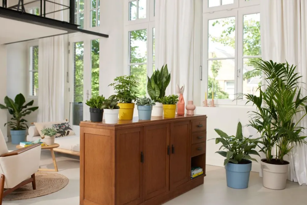 Discount Elho Blumentopf B. for original Liv D 14 cm H 12,8 cm schwarz Blumentöpfe & Pflanzgefäße|Blumentöpfe