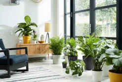 Discount Elho Blumentopf B. for original D 18,1 cm H 16,5 cm gelb Blumentöpfe & Pflanzgefäße|Blumentöpfe