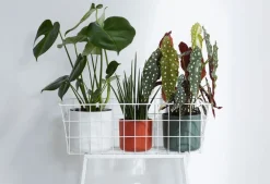 Hot Elho Blumentopf B. for soft D 16 cm H 14,9 cm grün Blumentöpfe & Pflanzgefäße|Blumentöpfe