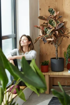 New Elho Blumentopf B. for soft D 18,3 cm H 16,8 cm anthrazit Blumentöpfe & Pflanzgefäße|Blumentöpfe