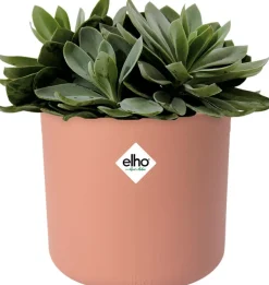 Clearance Elho Blumentopf B. for soft D 13,8 cm H 12,5 cm rosa Blumentöpfe & Pflanzgefäße|Blumentöpfe