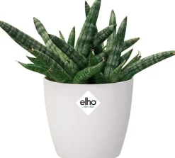 Sale Elho Blumentopf Brussels rund mini D 11 cm H 9,7 cm weiß Blumentöpfe|Blumentöpfe & Pflanzgefäße