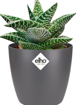 Outlet Elho Blumentopf Brussels rund mini D 10,2 cm H 8,7 cm anthrazit Blumentöpfe & Pflanzgefäße|Blumentöpfe