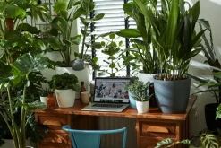 Discount Elho Blumentopf Brussels rund D 13,6 cm H 12,5 cm weiß Blumentöpfe & Pflanzgefäße|Blumentöpfe