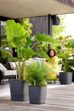 Sale Elho Blumentopf greensense aqua care grau 38 x 38 x 39 cm Blumentöpfe & Pflanzgefäße|Blumentöpfe