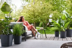 Sale Elho Blumentopf greensense aqua care grau 38 x 38 x 39 cm Blumentöpfe & Pflanzgefäße|Blumentöpfe