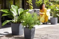 Sale Elho Blumentopf greensense aqua care grau 38 x 38 x 39 cm Blumentöpfe & Pflanzgefäße|Blumentöpfe