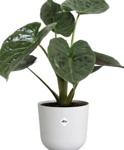 Hot Elho Blumentopf Jazz weiß D 23,1 H 21,5 cm Blumentöpfe & Pflanzgefäße|Blumentöpfe