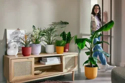 Online Elho Blumentopf Jazz weiß D 26 H 24,2 cm Blumentöpfe & Pflanzgefäße|Blumentöpfe