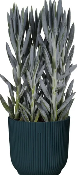 Hot Elho Blumentopf Vibes D 14,1 cm H 12,9 cm blau Blumentöpfe & Pflanzgefäße|Blumentöpfe