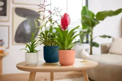 Hot Elho Blumentopf Vibes D 14,1 cm H 12,9 cm blau Blumentöpfe & Pflanzgefäße|Blumentöpfe