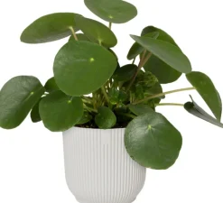 Outlet Elho Blumentopf Vibes D 18,3 cm H 16,8 cm weiß Blumentöpfe & Pflanzgefäße|Blumentöpfe