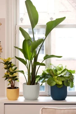 Outlet Elho Blumentopf Vibes D 18,3 cm H 16,8 cm weiß Blumentöpfe & Pflanzgefäße|Blumentöpfe