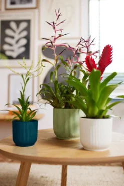 Elho Blumentopf Vibes D 22 cm H 20,2 cm weiß Blumentöpfe & Pflanzgefäße|Blumentöpfe