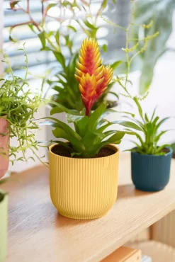 Elho Blumentopf Vibes gelb D 16,1 H 14,8 cm Blumentöpfe & Pflanzgefäße|Blumentöpfe