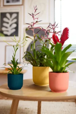 Hot Elho Blumentopf Vibes rosa D 14,1 H 12,9 cm Blumentöpfe & Pflanzgefäße|Blumentöpfe