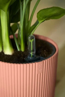 Discount Elho Blumentopf Vibes rosa D 18,3 H 16,8 cm Blumentöpfe & Pflanzgefäße|Blumentöpfe