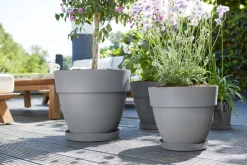 Best Elho Blumentopf Vibia Campana grau D 30 H 25,3 cm Blumentöpfe|Blumentöpfe & Pflanzgefäße