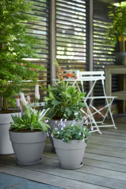 Sale Elho Blumentopf Vibia Campana grau D 25 H 21 cm Blumentöpfe|Blumentöpfe & Pflanzgefäße