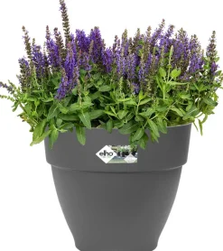 Online Elho Blumentopf Vibia Campana anthrazit D 30 H 25,3 cm Blumentöpfe|Blumentöpfe & Pflanzgefäße