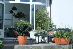 Best Elho Blumentopf Vibia terracotta D 30 H 25 cm Blumentöpfe|Blumentöpfe & Pflanzgefäße