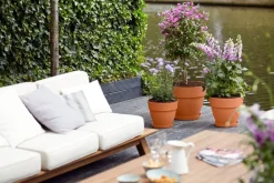 Best Elho Blumentopf Vibia terracotta D 30 H 25 cm Blumentöpfe|Blumentöpfe & Pflanzgefäße