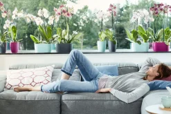 Sale Elho Brussels Orchideenschale Duo anthrazit 25 x 13 x 12,6 cm Blumentöpfe|Blumentöpfe & Pflanzgefäße