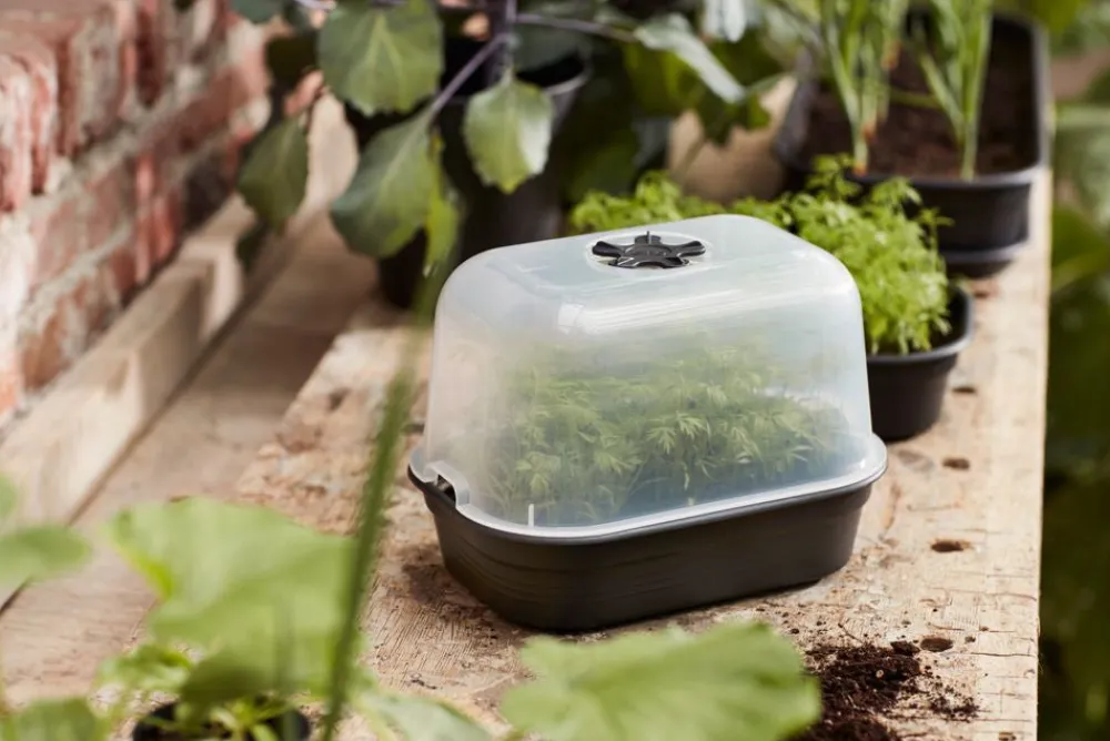 Clearance Elho green basics Anzuchtkasten Deckel 24 x 12 x 17 cm Anzuchtkästen & Mini-Gewächshäuser