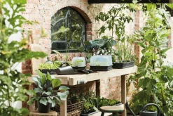 Best Elho green basics Anzuchtkasten Deckel 35,8 x 25,5 x 12,9 cm Anzuchtkästen & Mini-Gewächshäuser