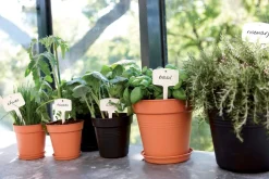 Sale Elho green basics Anzuchttopf D 17 H 15,6 cm schwarz Anzuchttöpfe