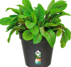 Discount Elho green basics Anzuchttopf D 19 H 17,5 cm schwarz Anzuchttöpfe