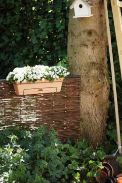 Best Elho green basics Balkonkasten all-in-one 69,2 x 25,7 x 16,7 cm terracotta Balkonkästen|Blumentöpfe & Pflanzgefäße