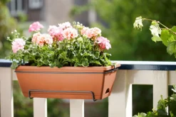 Hot Elho green basics Balkonkasten Barcelona terracotta 49,5 x 27,5 x 18,5 cm Balkonkästen|Blumentöpfe & Pflanzgefäße