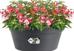 Sale Elho green basics Pflanzschale D 38 cm H 16 cm schwarz Blumentöpfe & Pflanzgefäße