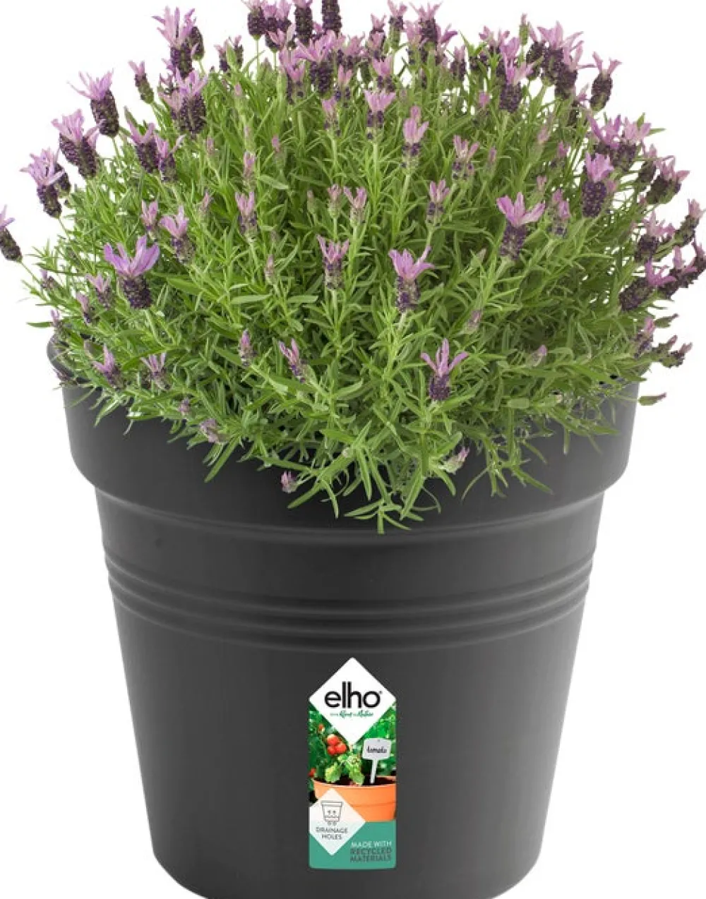 Sale Elho green basics Pflanztopf schwarz D 35 H 32,2 cm Anzuchttöpfe