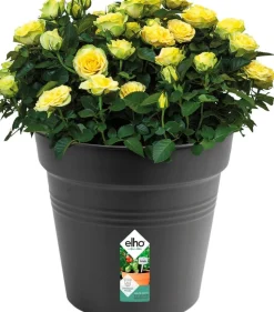 New Elho green basics Pflanztopf schwarz D 40 H 37 cm Anzuchttöpfe