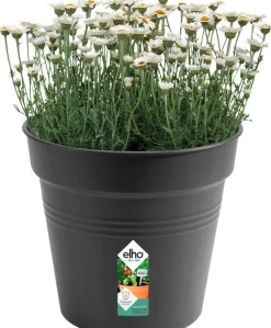 New Elho green basics Pflanztopf schwarz D 30 H 27,7 cm Anzuchttöpfe