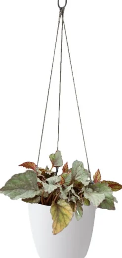 Hot Elho Hängeampel Brussels mit Schnur D 18,3 cm H 18 weiß Blumenampeln & Hängetöpfe|Blumentöpfe & Pflanzgefäße