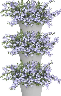 Discount Elho Hängetopf Corsica weiß 26,7 x 17 x 29,7 cm 3 St. Blumenampeln & Hängetöpfe|Blumentöpfe & Pflanzgefäße